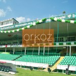 bursaspor-sampiyonluk-kutlamasi-susleme02
